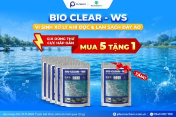 Bio Clear – WS Vi Sinh Xử Lý Đáy & Kiểm Soát NH₃, NO₂, H₂S