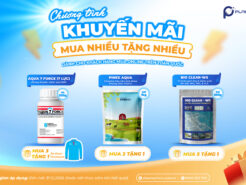 Thông Báo Chương Trình Khuyến Mãi Online Quý IV Năm 2026