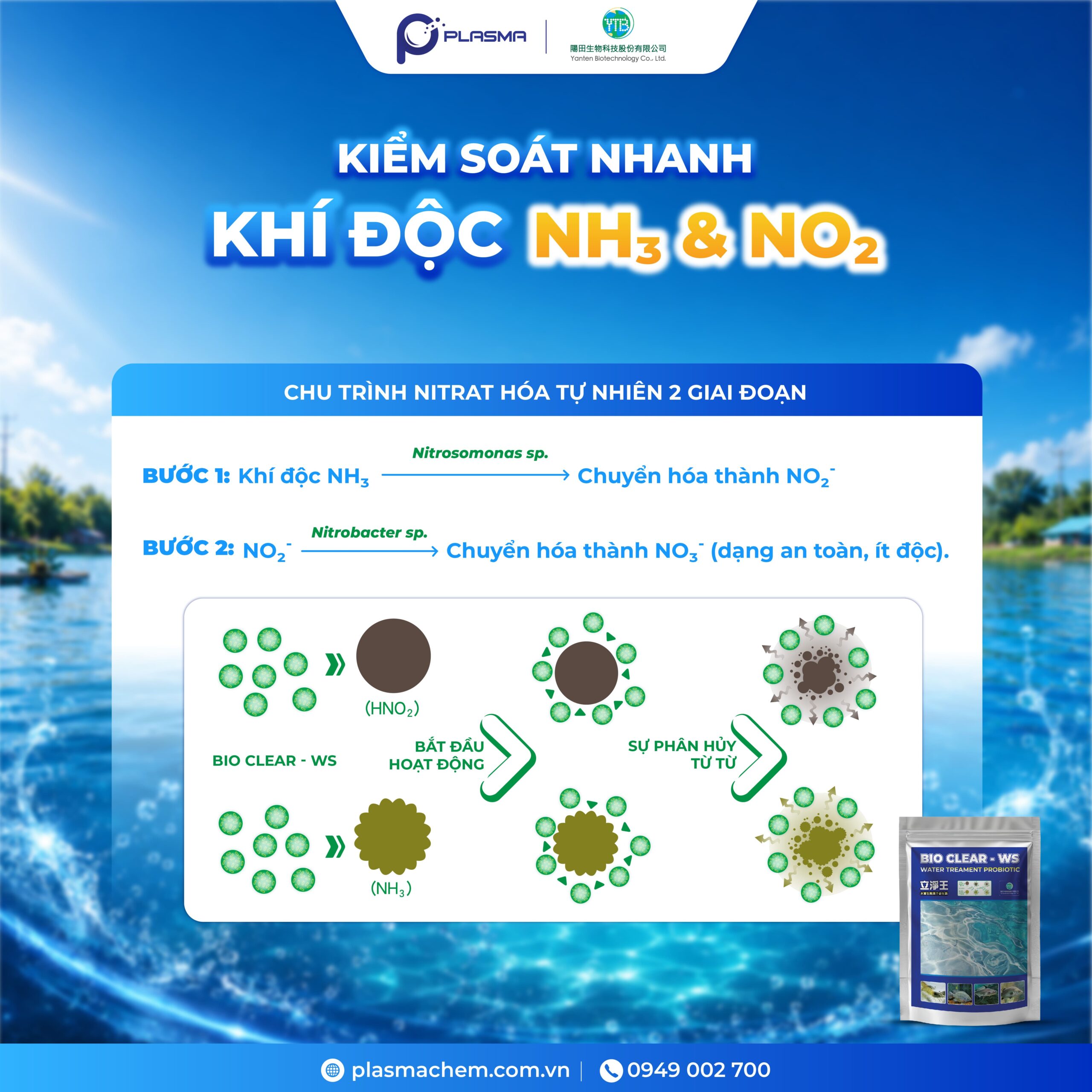 Bio Clear - WS có cơ chế Nitrat hoá, chuyển hoá khí độc thành ít độc hơn cho ao nuôi.