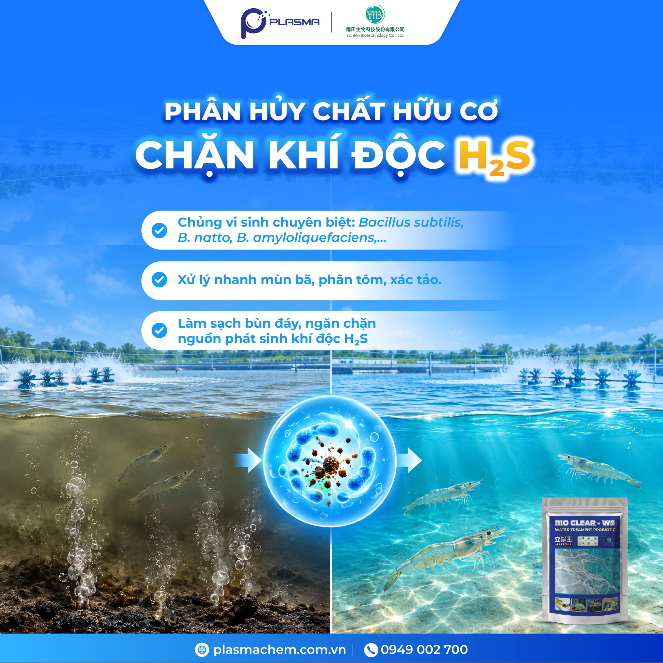 Bio Clear - WS - phân huỷ chất hữu cơ, chặn khí độc H2S.