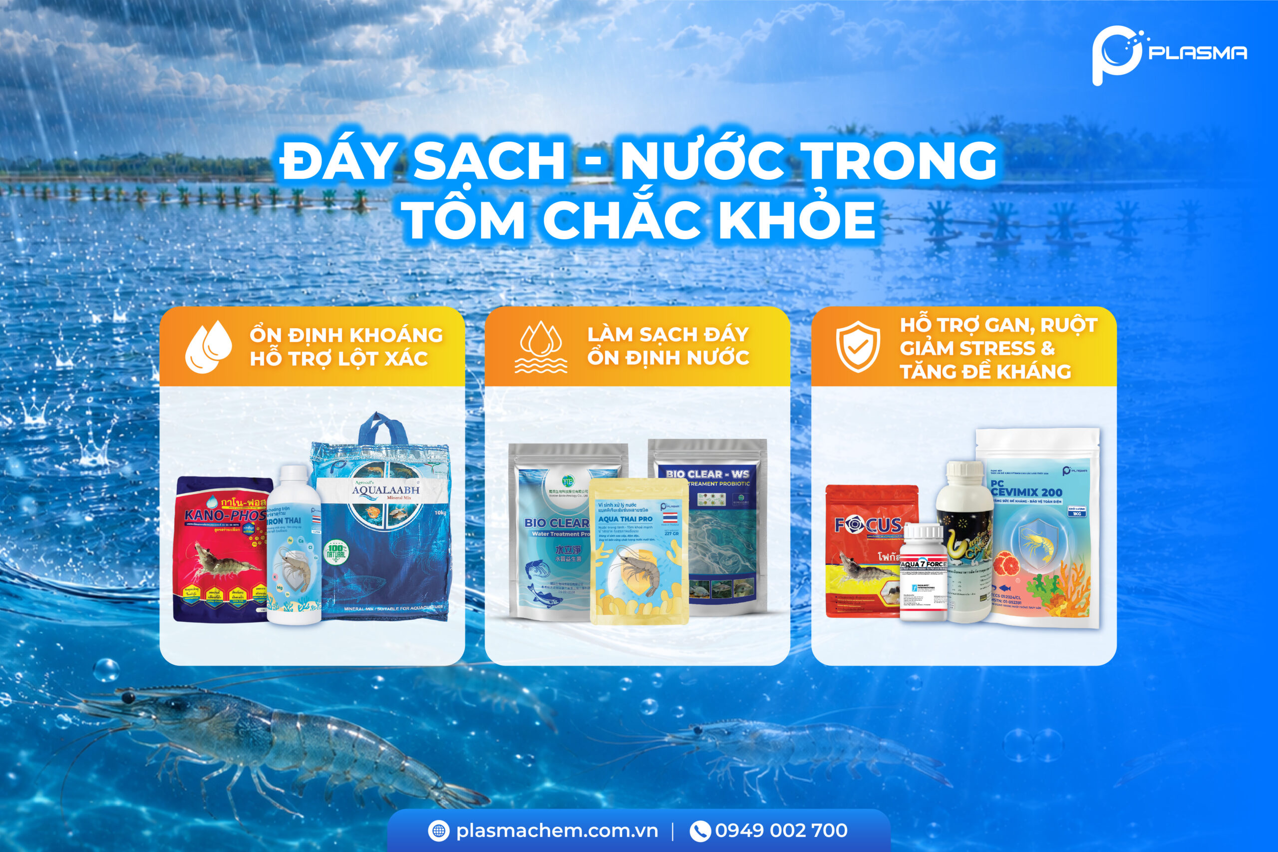 Combo đáy sạch - nước trong và tôm chắc khoẻ.