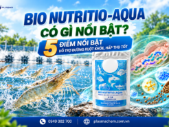BIO NUTRITIO-AQUA có gì nổi bật? 5 ưu điểm đáng chú ý