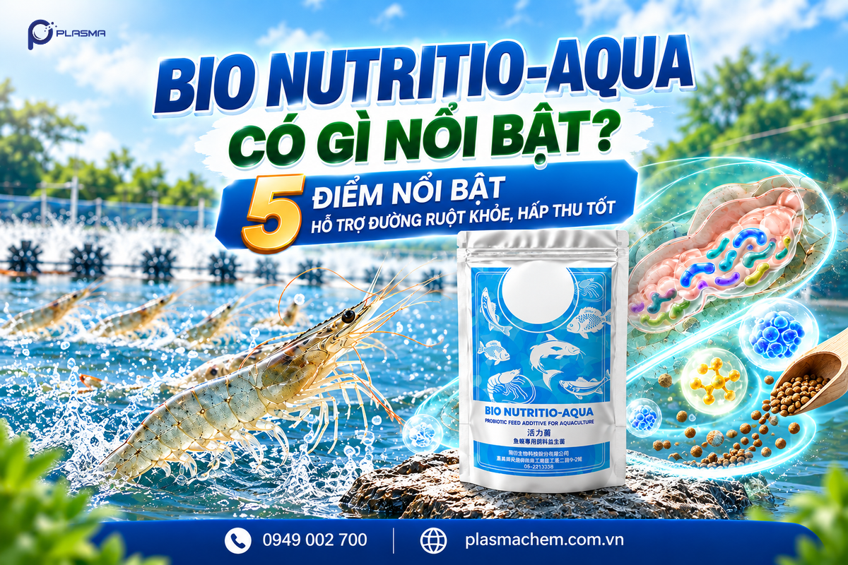 Bio Nutritio Aqua hiệu quả hỗ trợ đường ruột vượt trội với 5 ưu điểm nổi bật.