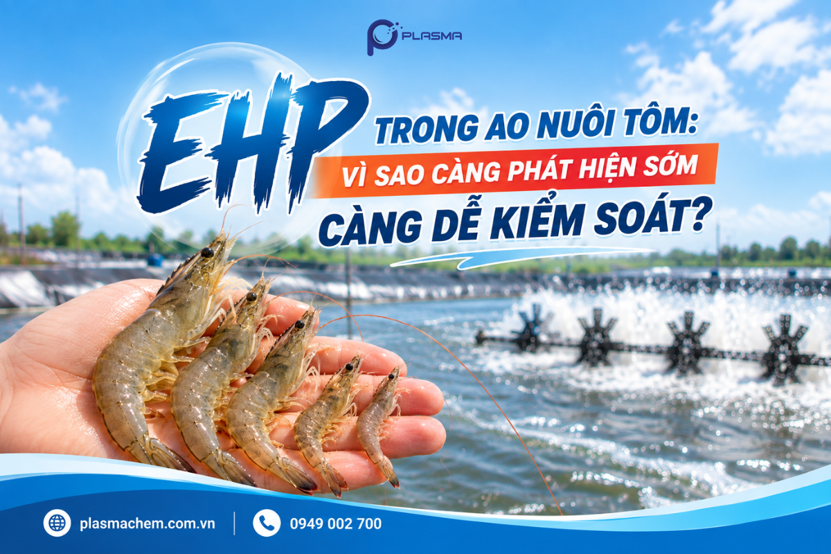 EHP một bệnh diễn ra âm thầm, phát hiện càng sớm càng dễ kiểm soát.