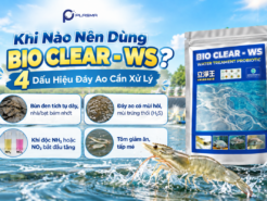 Khi Nào Nên Dùng Bio Clear – WS? 4 Dấu Hiệu Đáy Ao Cần Xử Lý