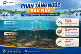 Phân Tầng Nước Sau Mưa: Mối Nguy Đối Với Oxy Đáy Và Sức Khỏe Tôm